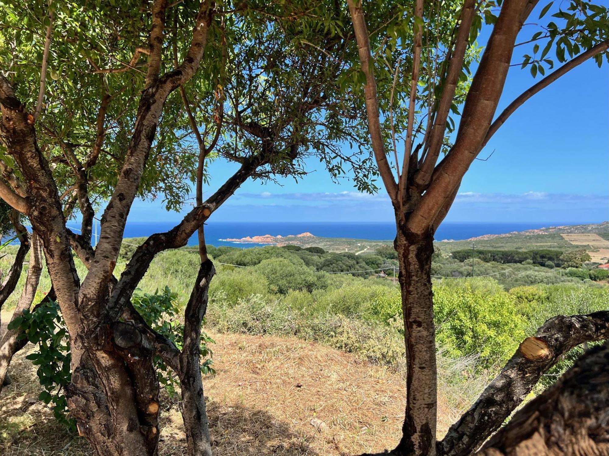Appartamento Panoramico Isola Rossa Eksteriør bilde